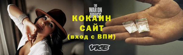 индика Армянск