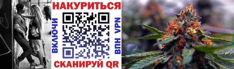 Канабис конопля  Белая Холуница 